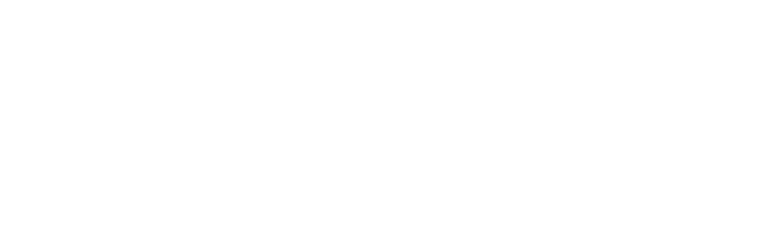 Logo Kleine Singel